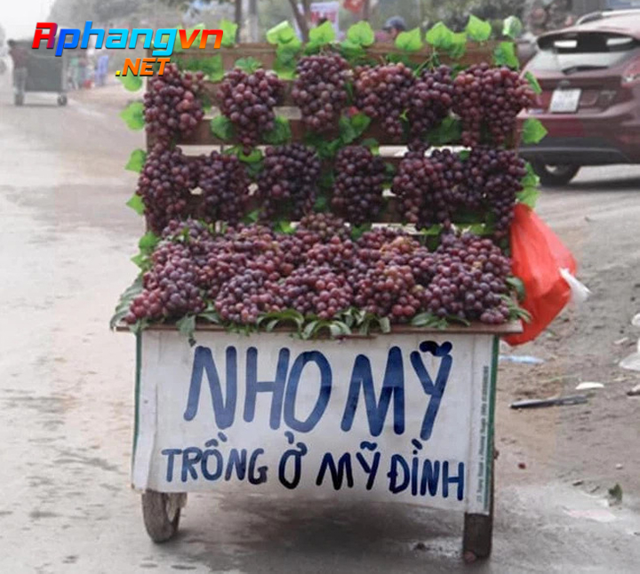 Hai_NhoMyTrongOMyDinh.jpg