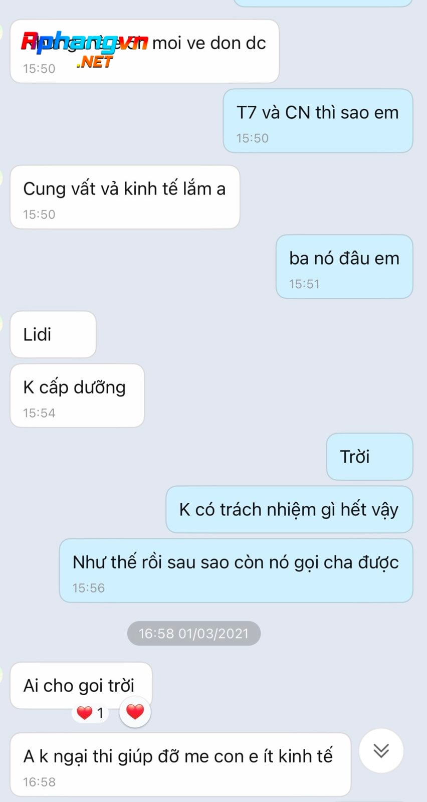 085bd17ad0c4239a7ad5.jpg