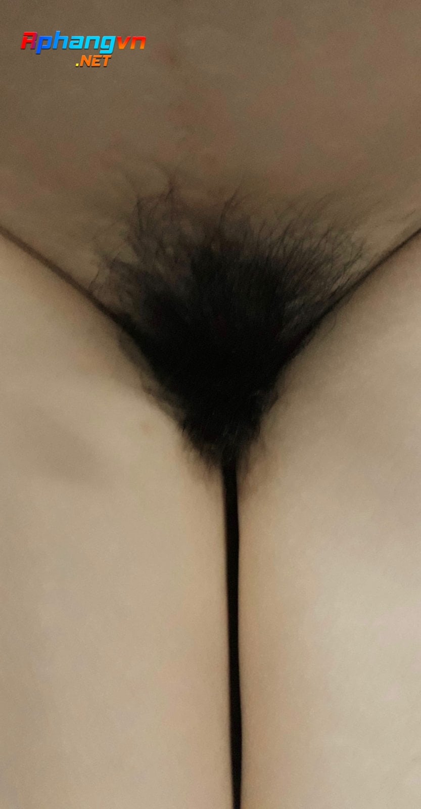 C18898BF-E7D6-4380-B929-1315DB5B490C.jpeg