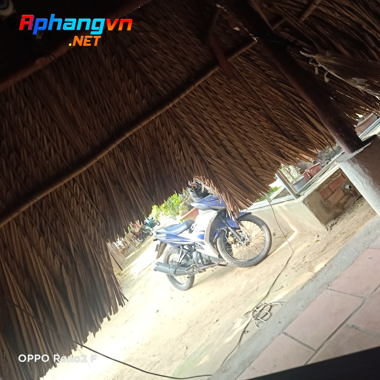 IMG20210511144538.jpg