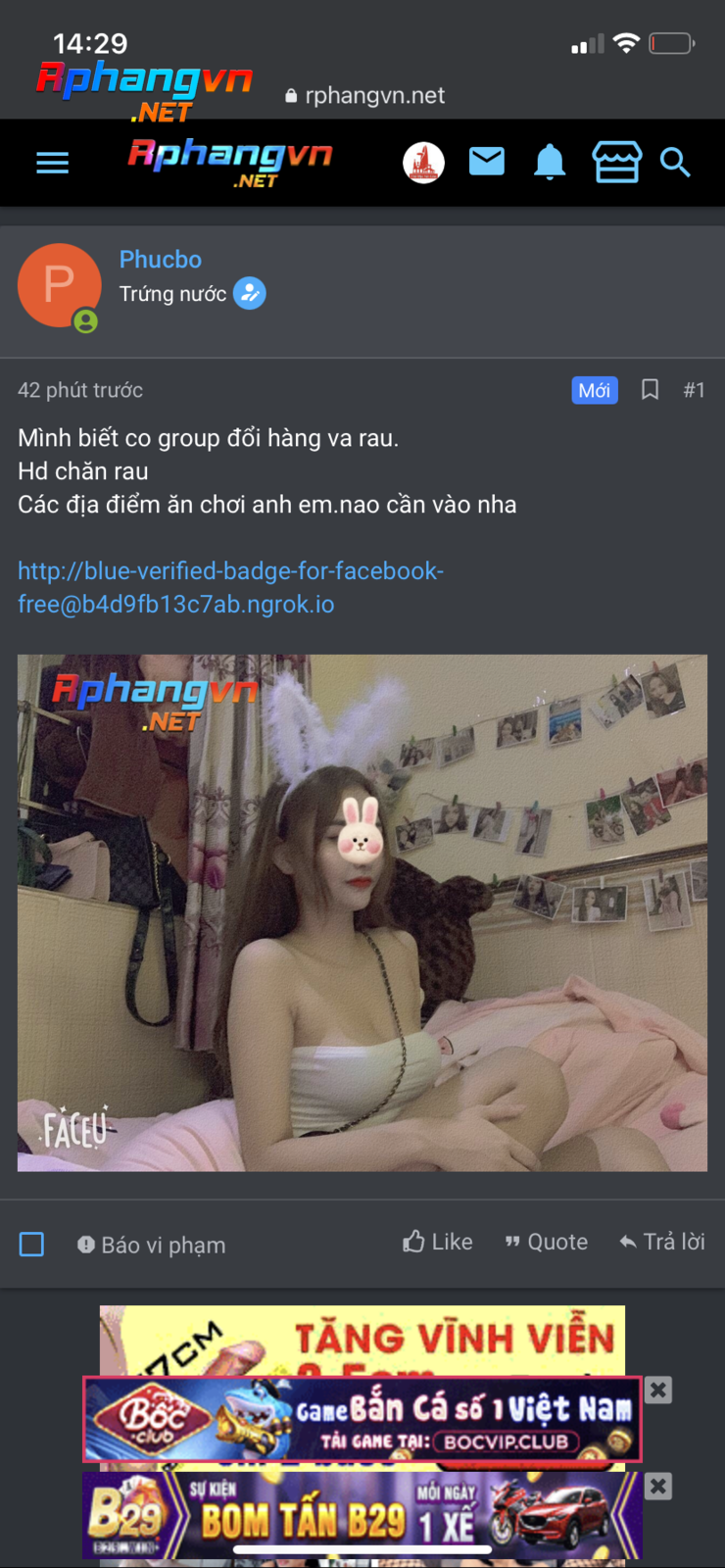 9ABE9518-CD3F-482A-B5CA-C0FF2BF67112.png