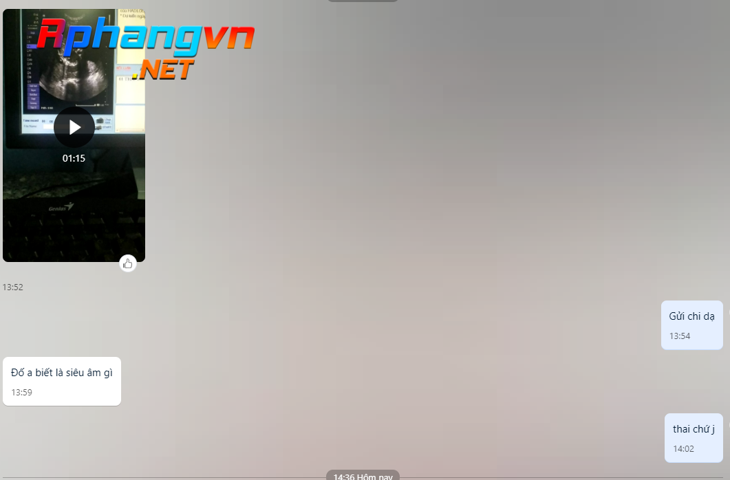 1623656965128.png