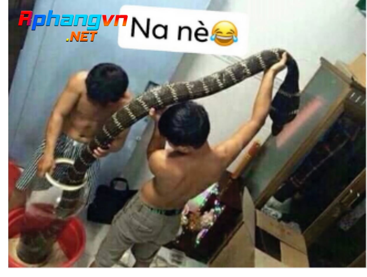 3F52F44A-9990-4374-9A67-13399D949E42.jpeg