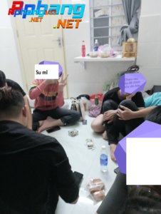 15.jpg