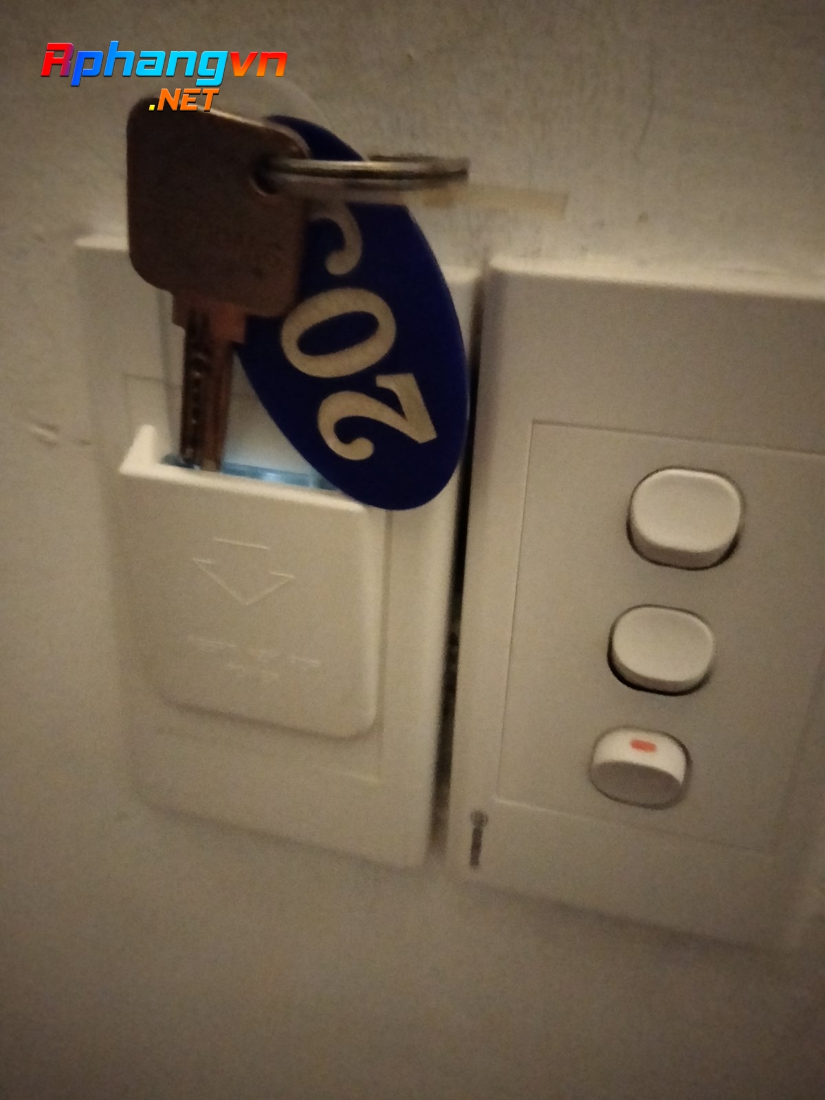 IMG20210704221225.jpg