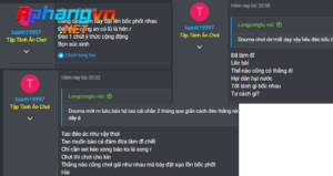 Ngu 1.png