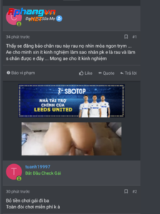 TA3.png