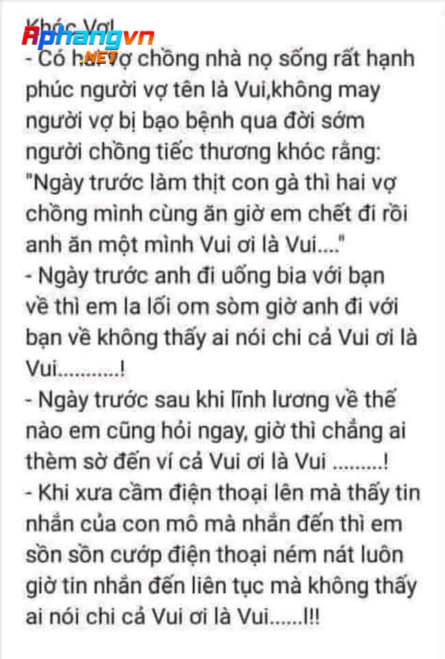 HaiHuoc_VuiOiLaVui.jpg