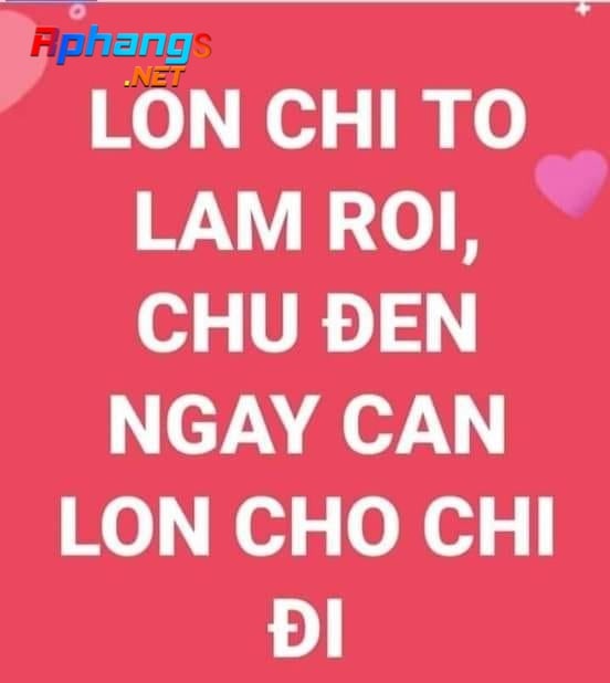 Hai_LonChiToLamRoi.jpg