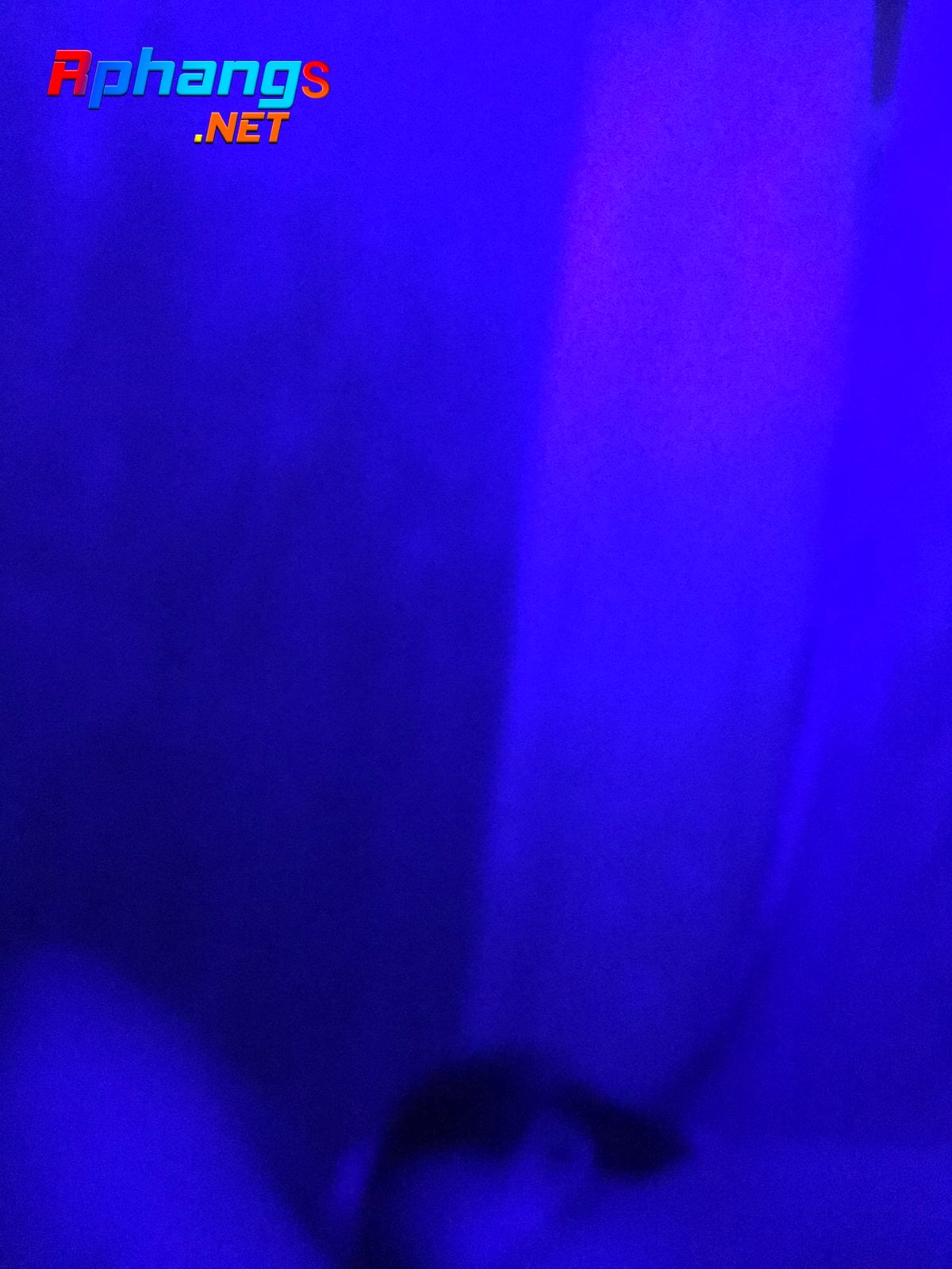 C26793C6-8CF0-43E1-B8BA-0CD651210B7D.jpeg