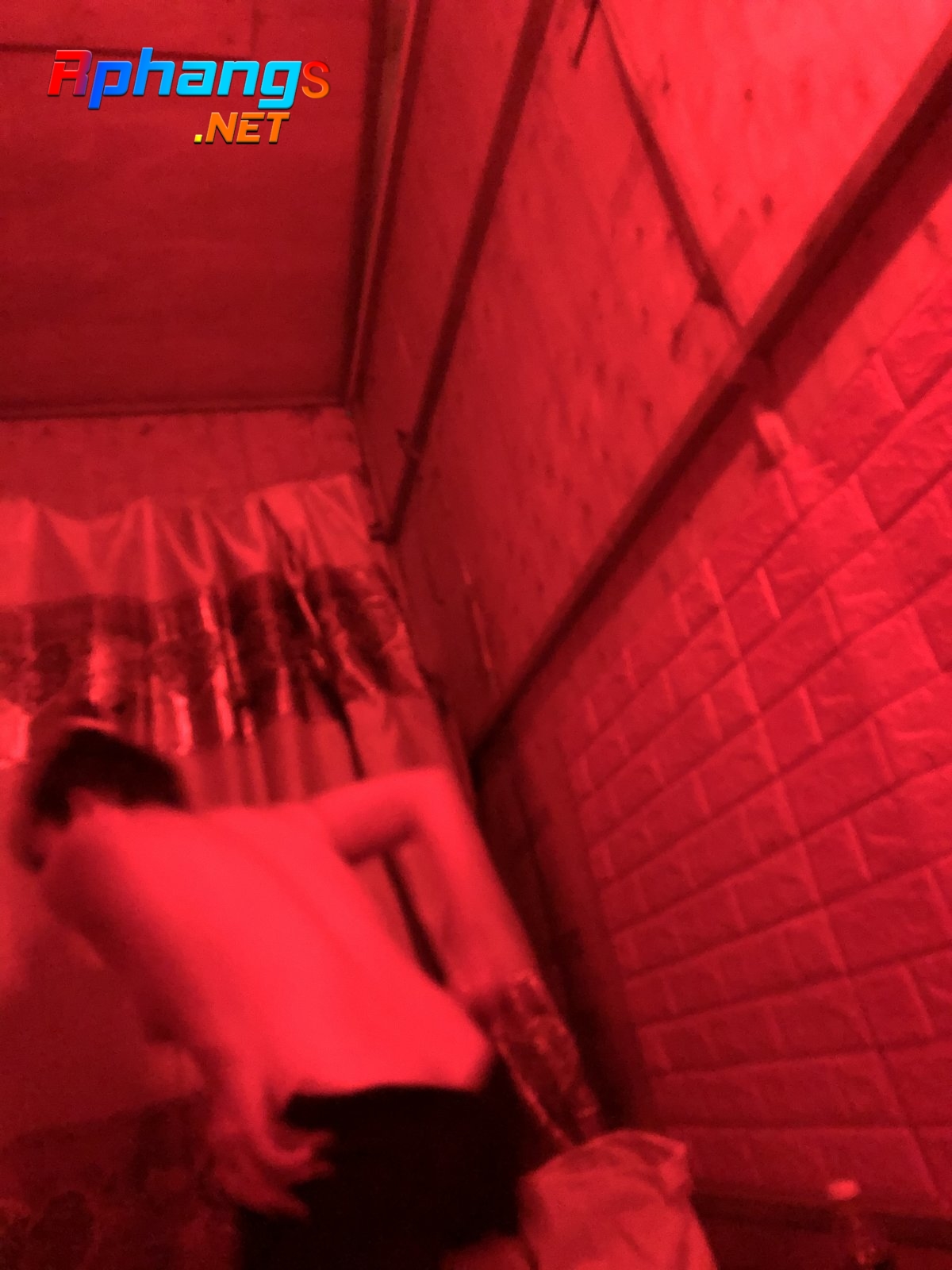 91B34022-686A-4A0C-9536-13B29E4E8CDF.jpeg