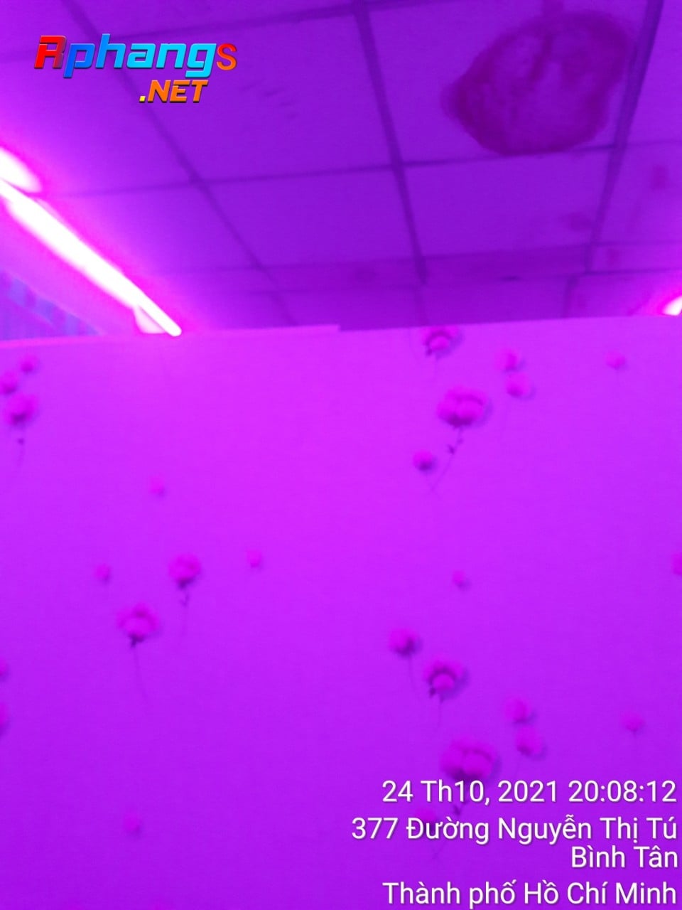 IMG_20211025_084924.jpg