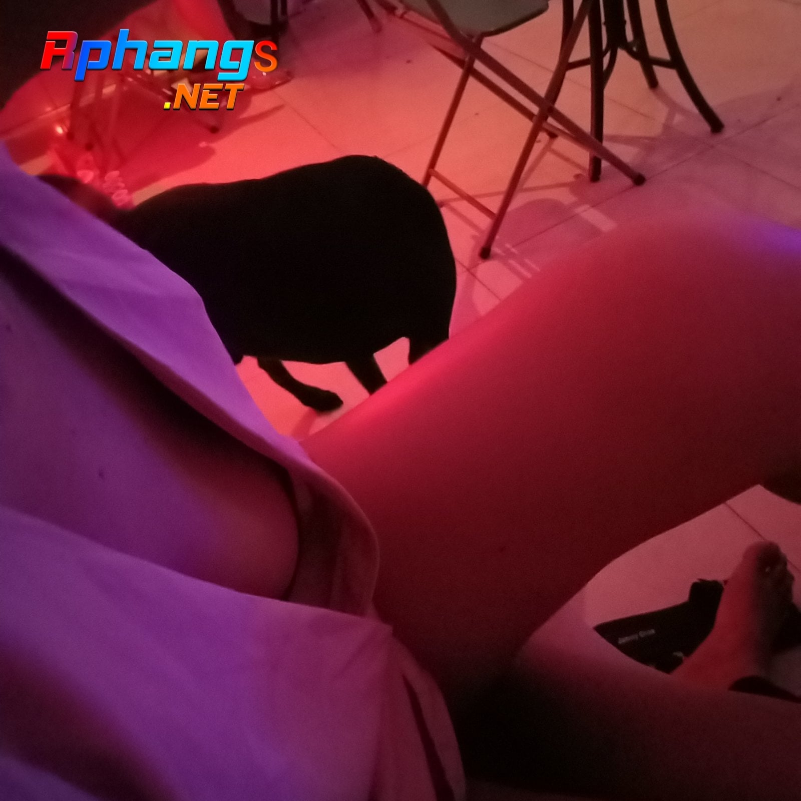 IMG20211102211826.jpg