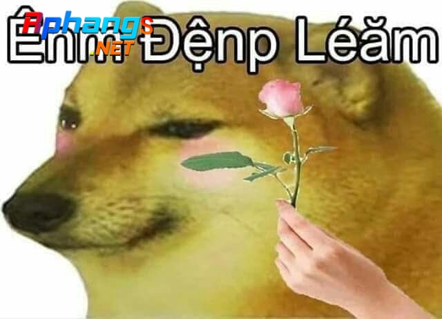 2afdd44fd99b11c5488a.jpg