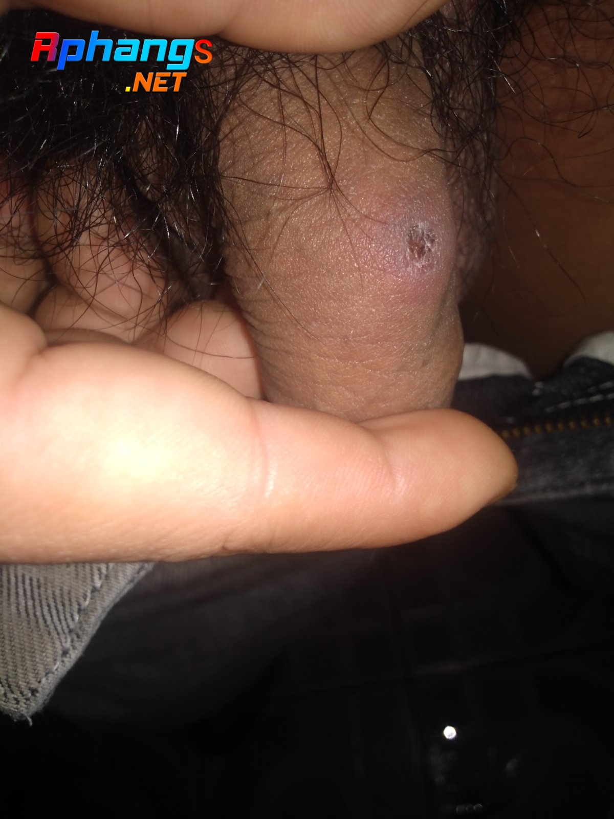 IMG20211127233510.jpg