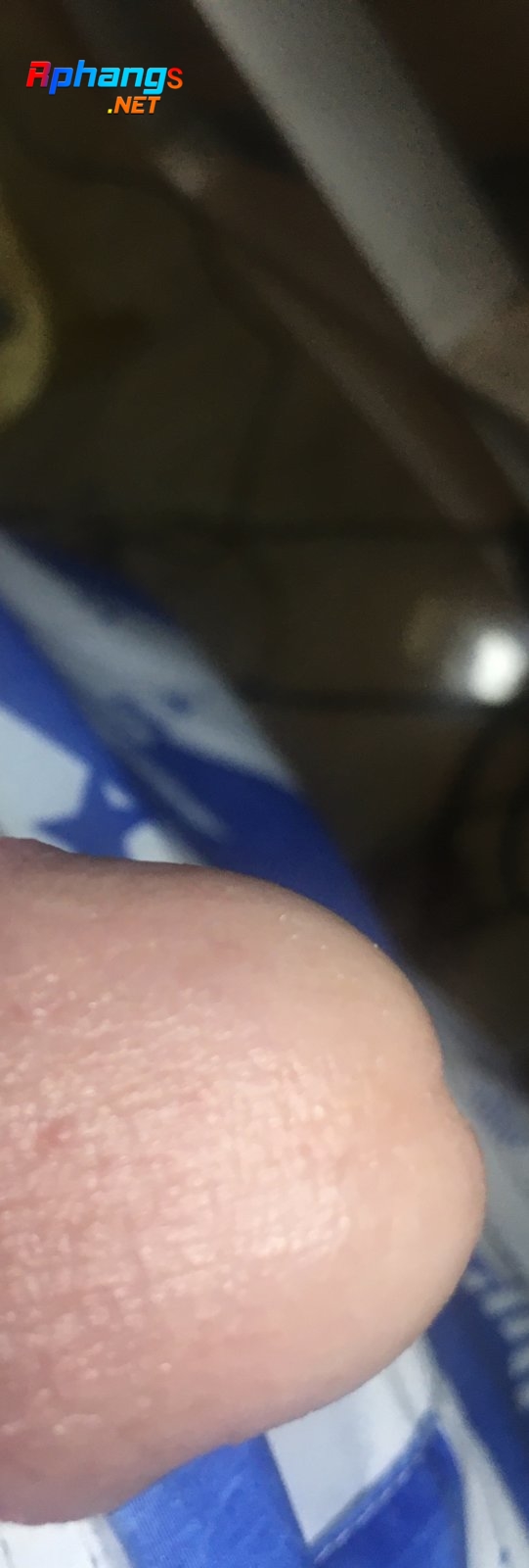 458EBC35-D668-4D30-9E5E-08B034C237C4.jpeg
