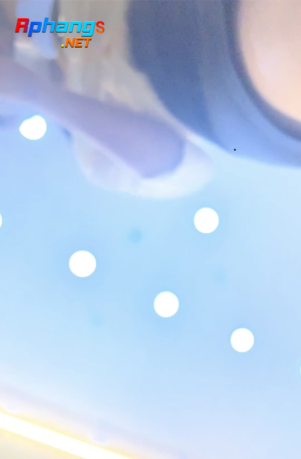 0B8627DC-9D22-4859-A082-7AB911EAA21F.jpeg