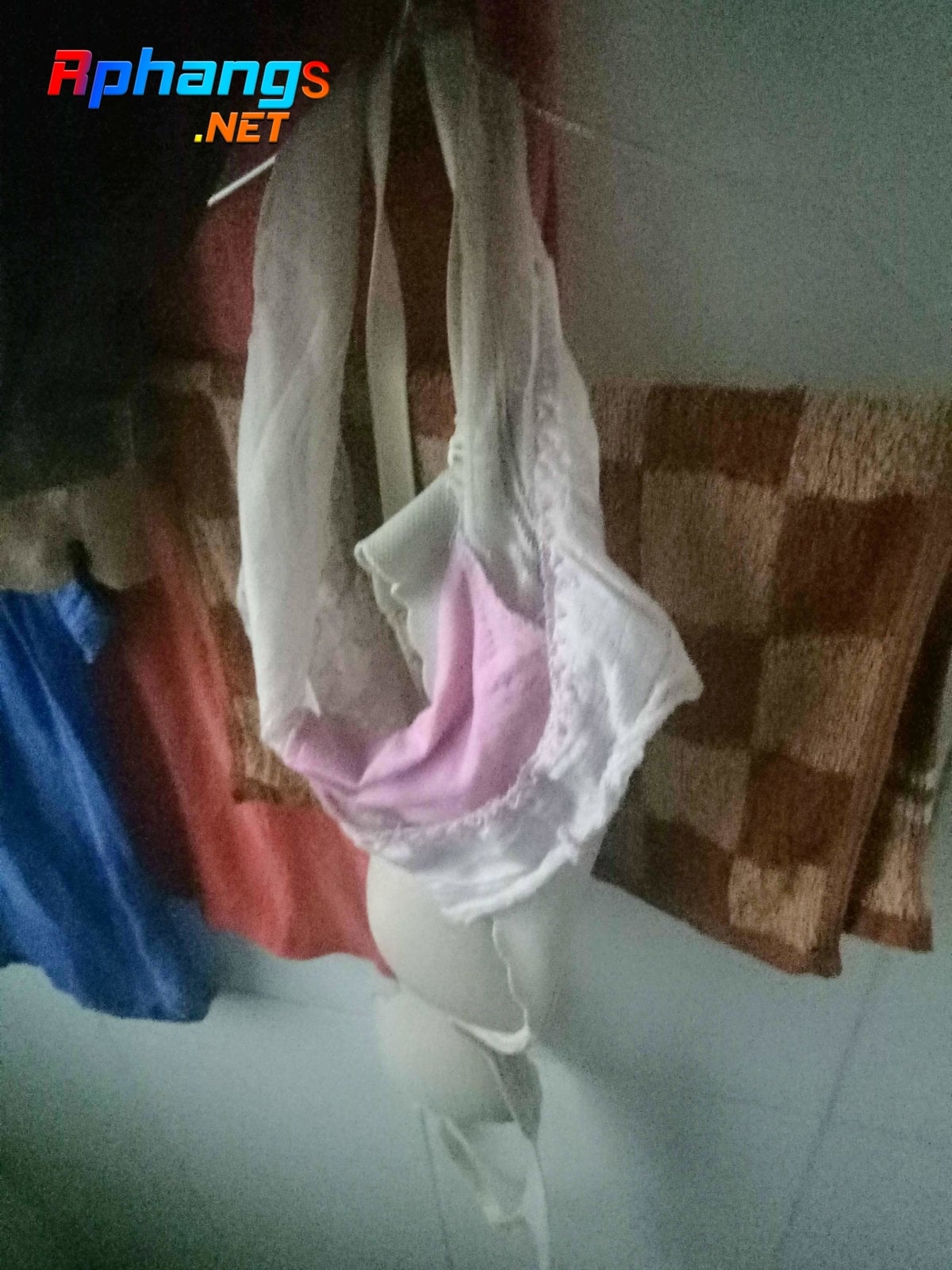 IMG20180924215050.jpg
