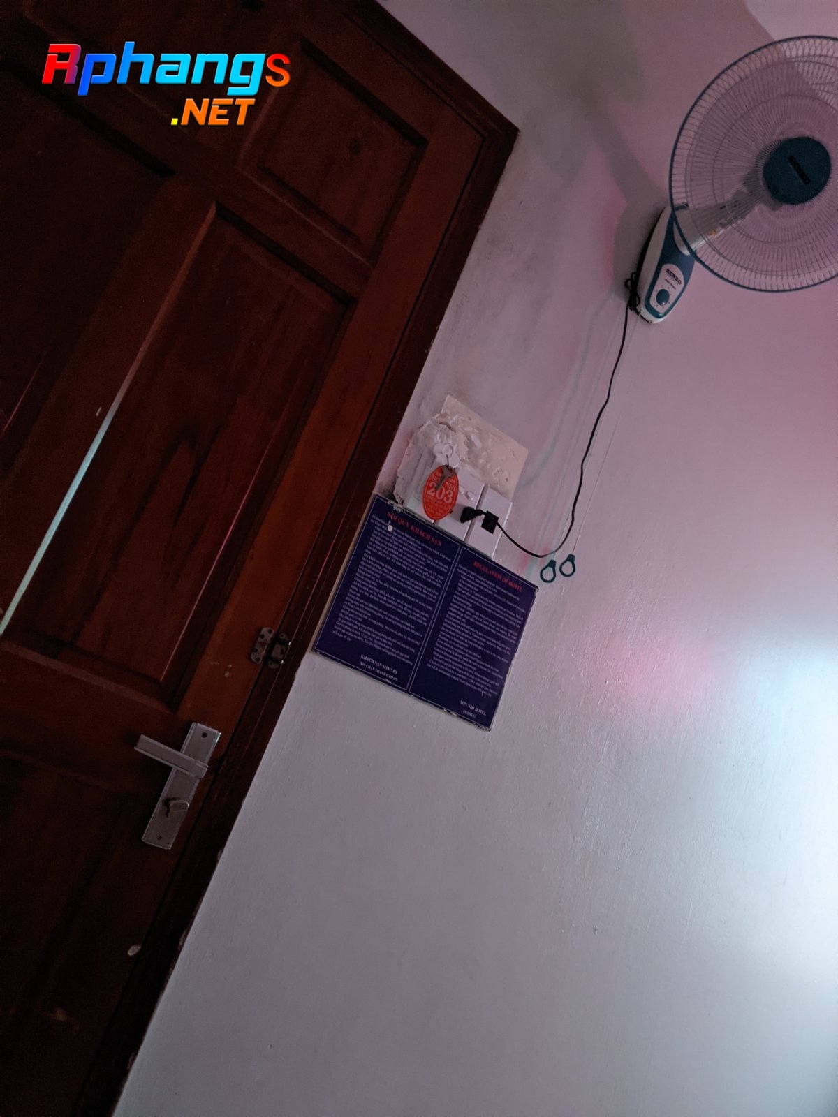 PXL_20220216_162411282.NIGHT.jpg