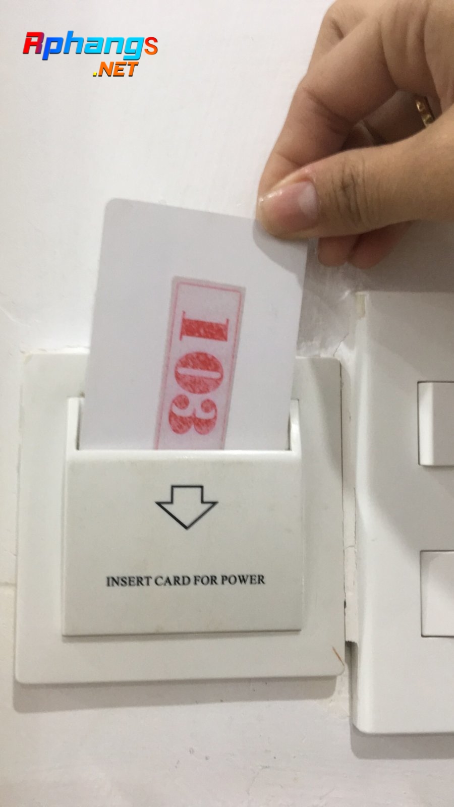 192CF51E-C1D2-4E0A-82E5-968E6953F978.jpeg