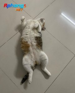 DF4B630E-E4B6-4F07-9F58-F97AEBBC9CC3.jpeg