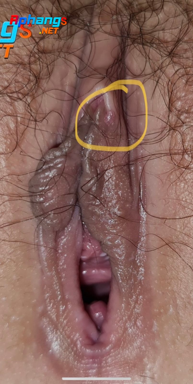 8C7D9237-A556-4A4B-9FDA-D60EA6DEF5C7.jpeg