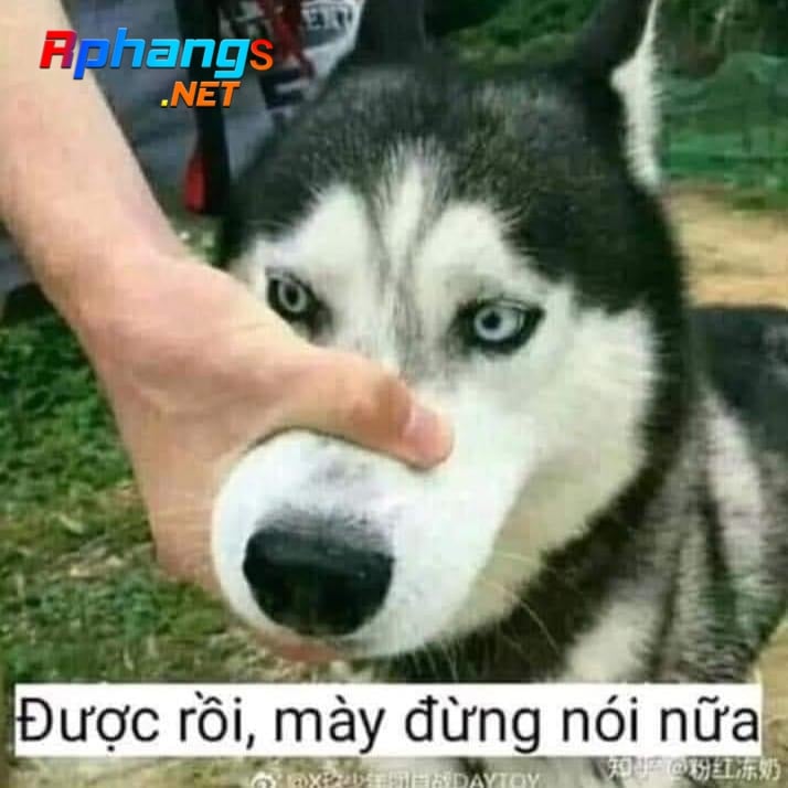 ADBD0A60-C154-4794-AF7B-030A08BD5C16.jpeg