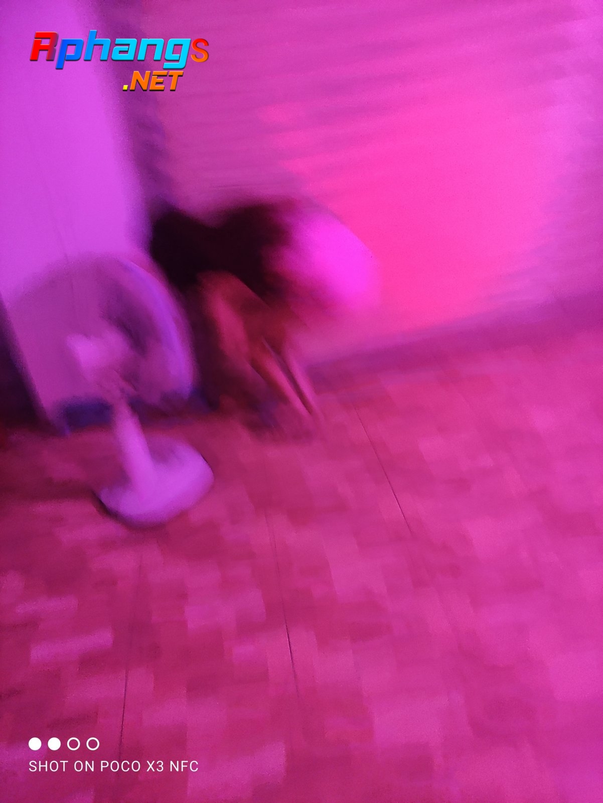 IMG_20220321_220926.jpg