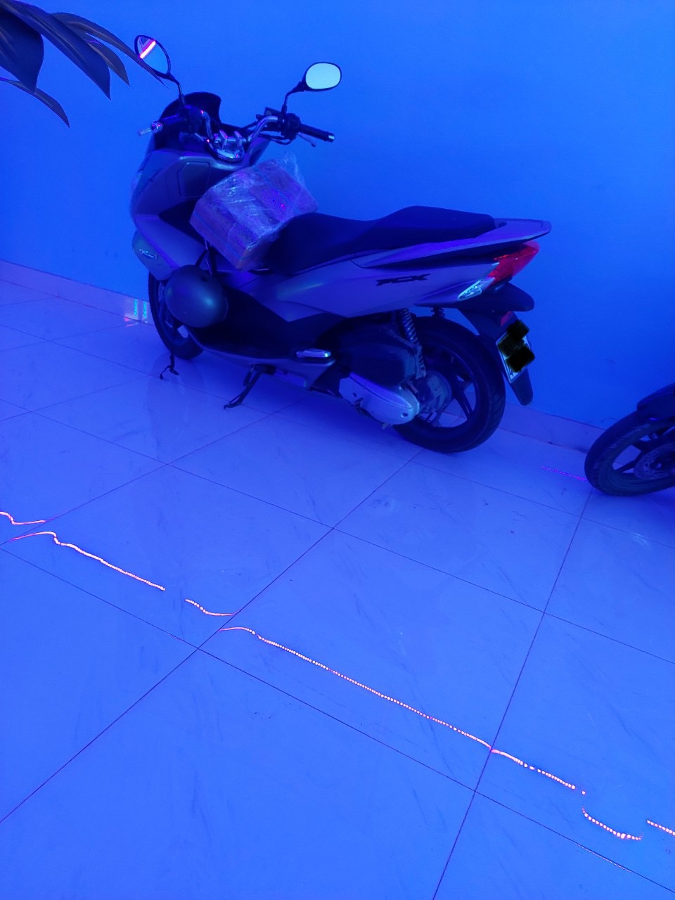 0537A774-4AF0-4DDB-B2D3-EDE20E7A31F2.jpeg