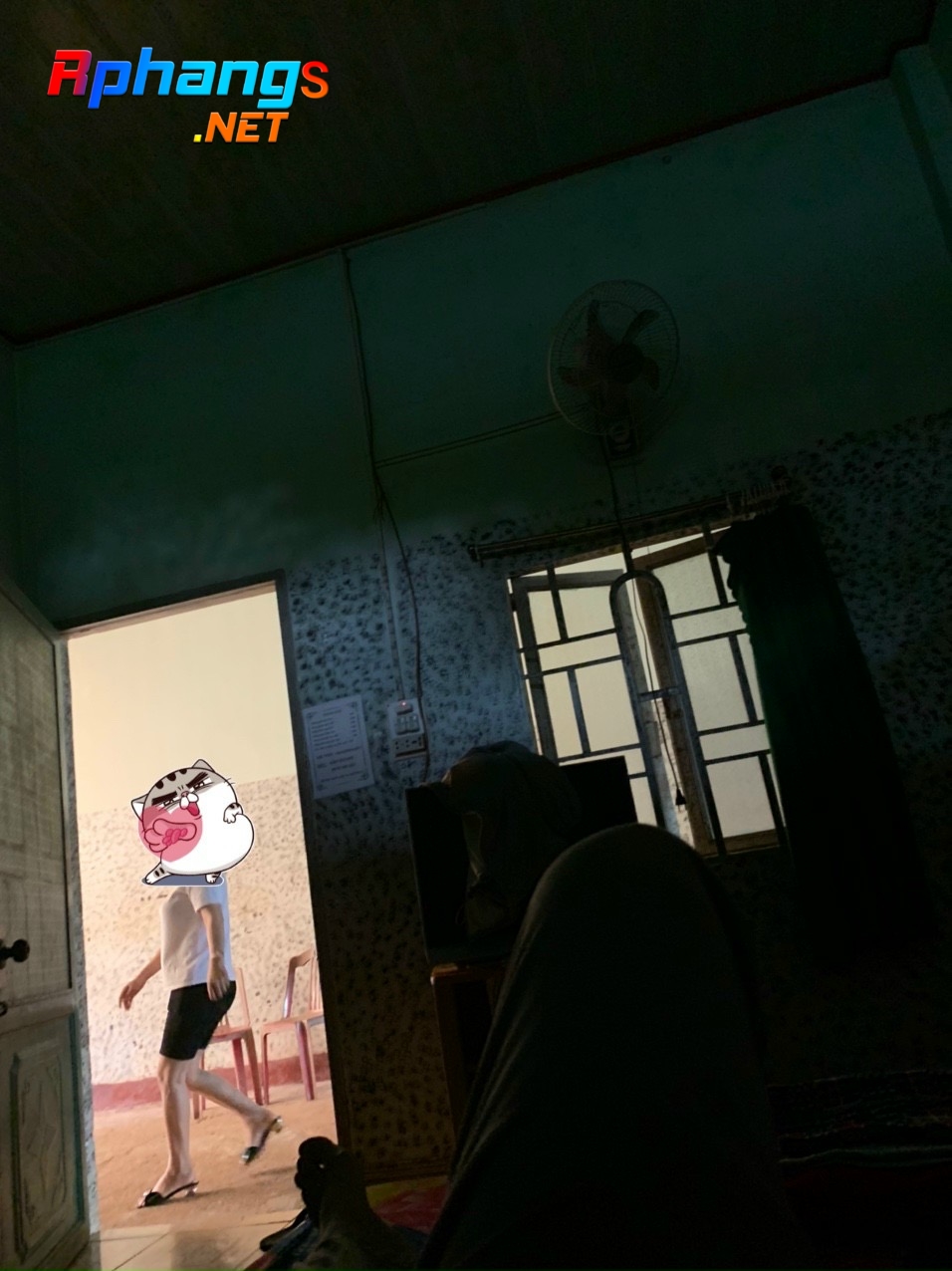 4C2445DF-AD99-41F6-9CE3-D218EFF9C5FD.jpeg