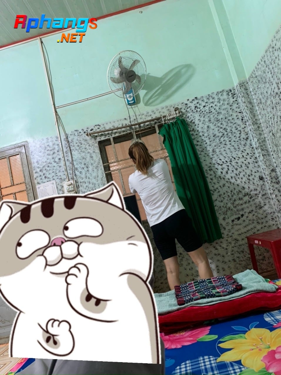 FEEC9E38-3665-4404-9ADB-28C6942519C7.jpeg