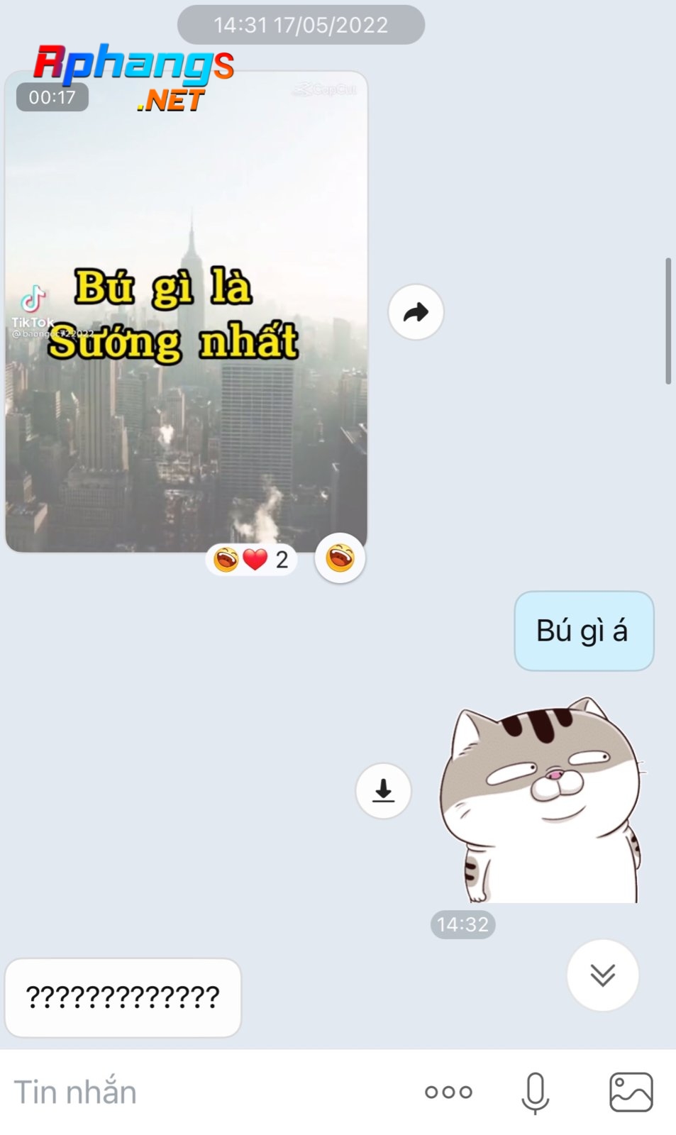 942.jpg