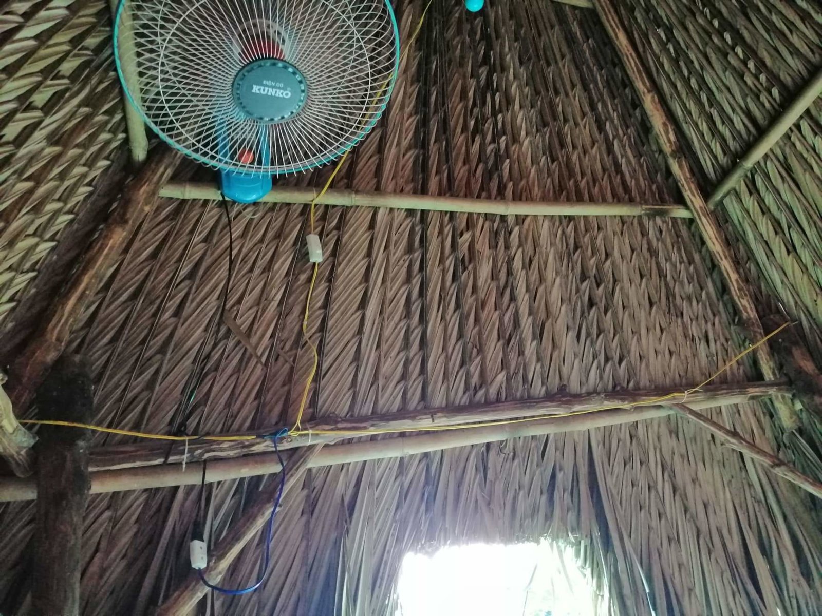 received_397255775630391.jpeg