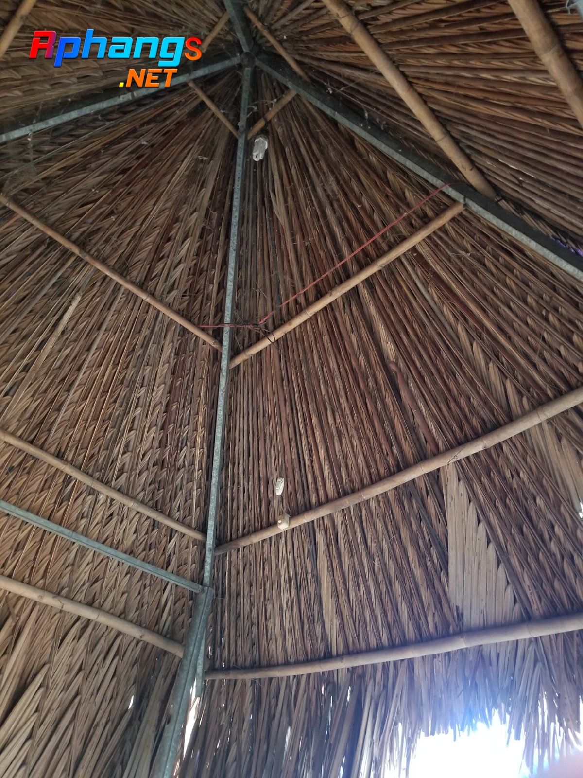 20220610_122051.jpg