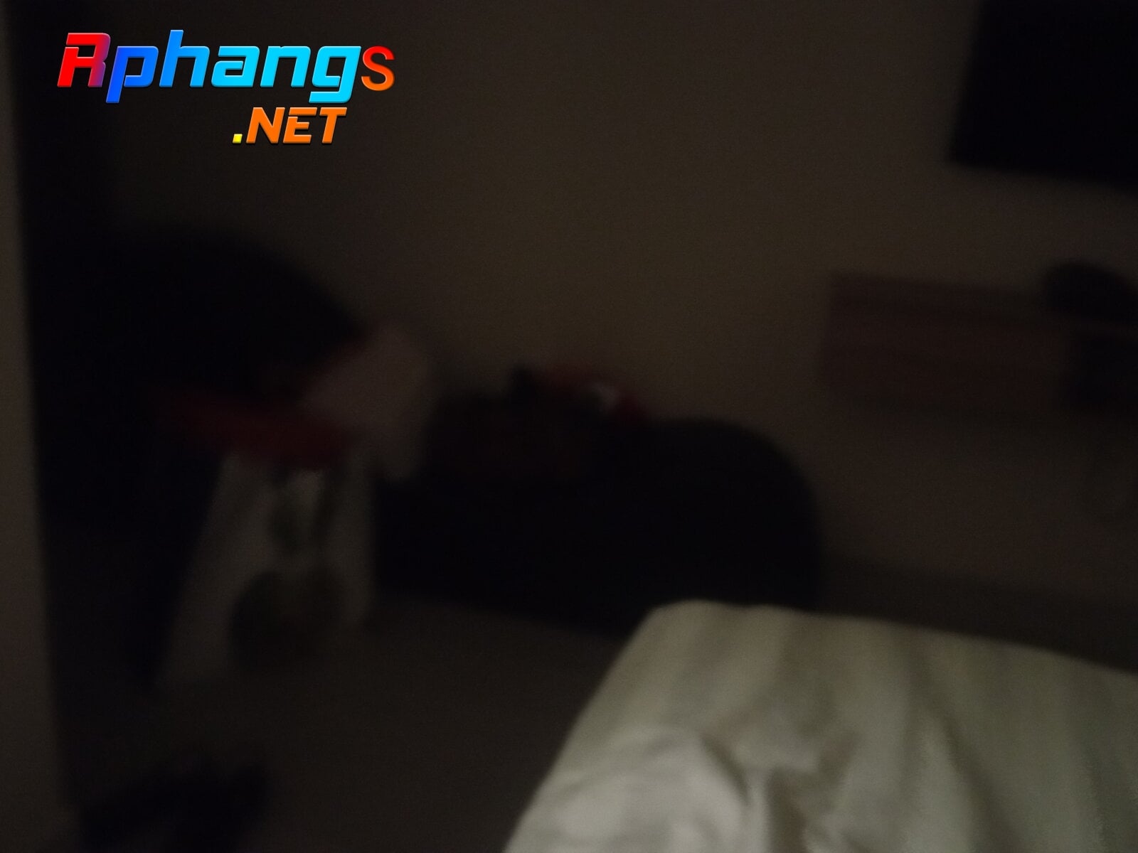 IMG_20220709_203956.jpg