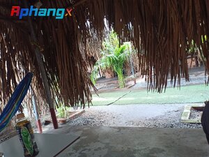 IMG20220719154342.jpg