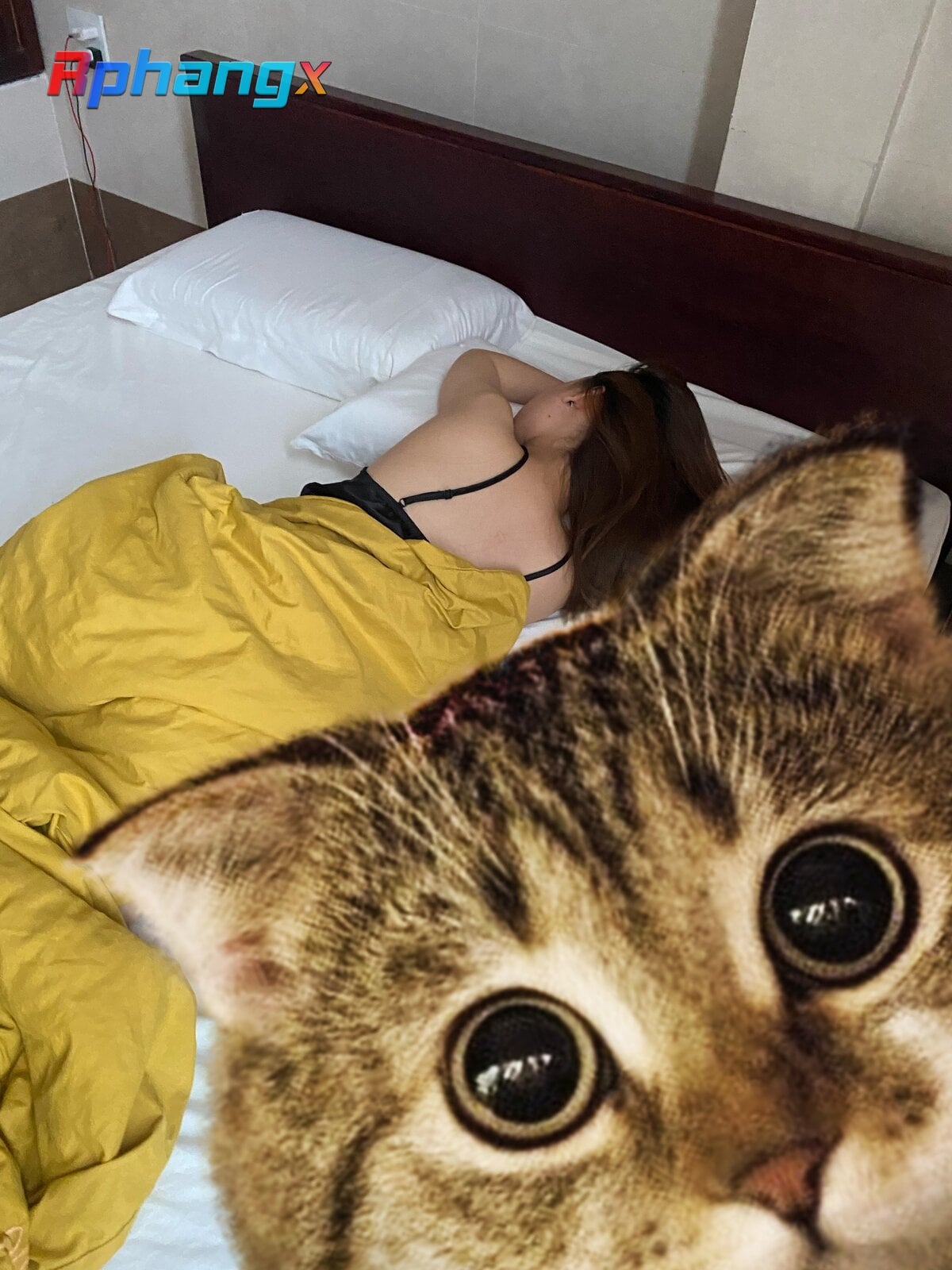 ADCDD227-3AD6-4AAA-9726-80A37E551DF9.jpeg