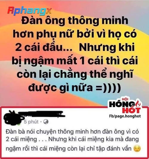 a240668df9dd08ee681f0ea1354bcf16.jpg