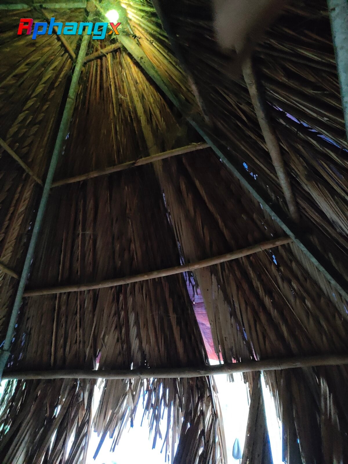 IMG20220817125101.jpg