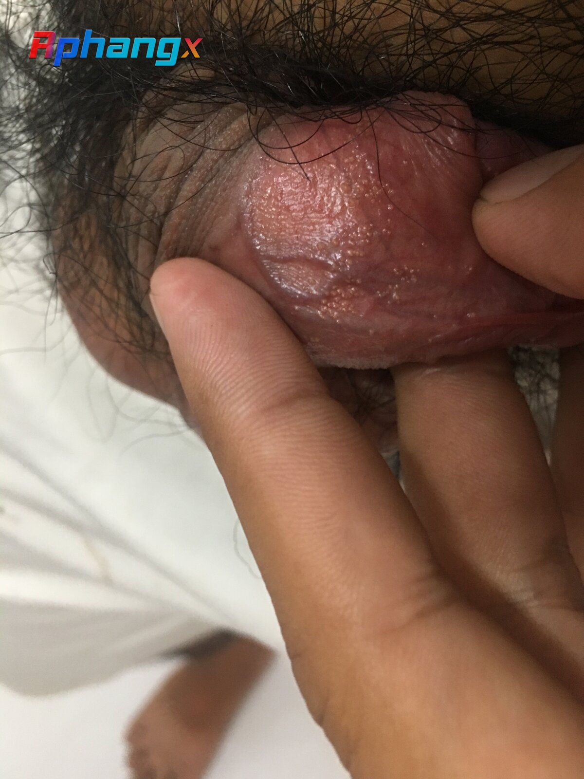 08925E62-8F10-4448-87A0-3FF87A75BF0B.jpeg