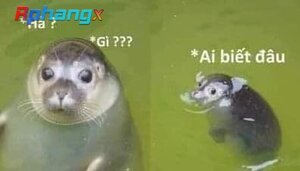 FB_IMG_1632702166225.jpg