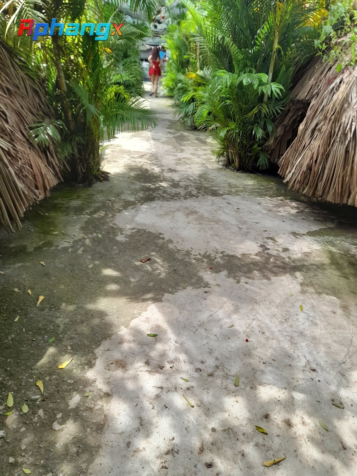20220905_135737.jpg