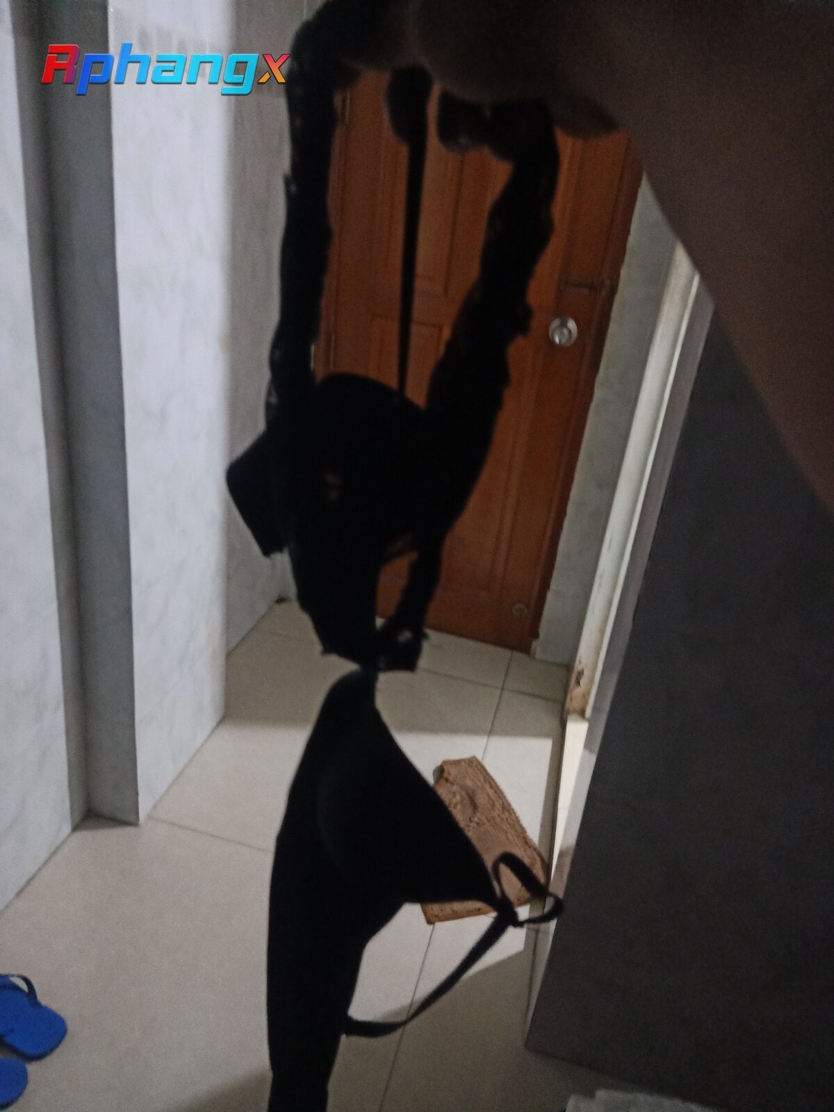 IMG20220910210833.jpg