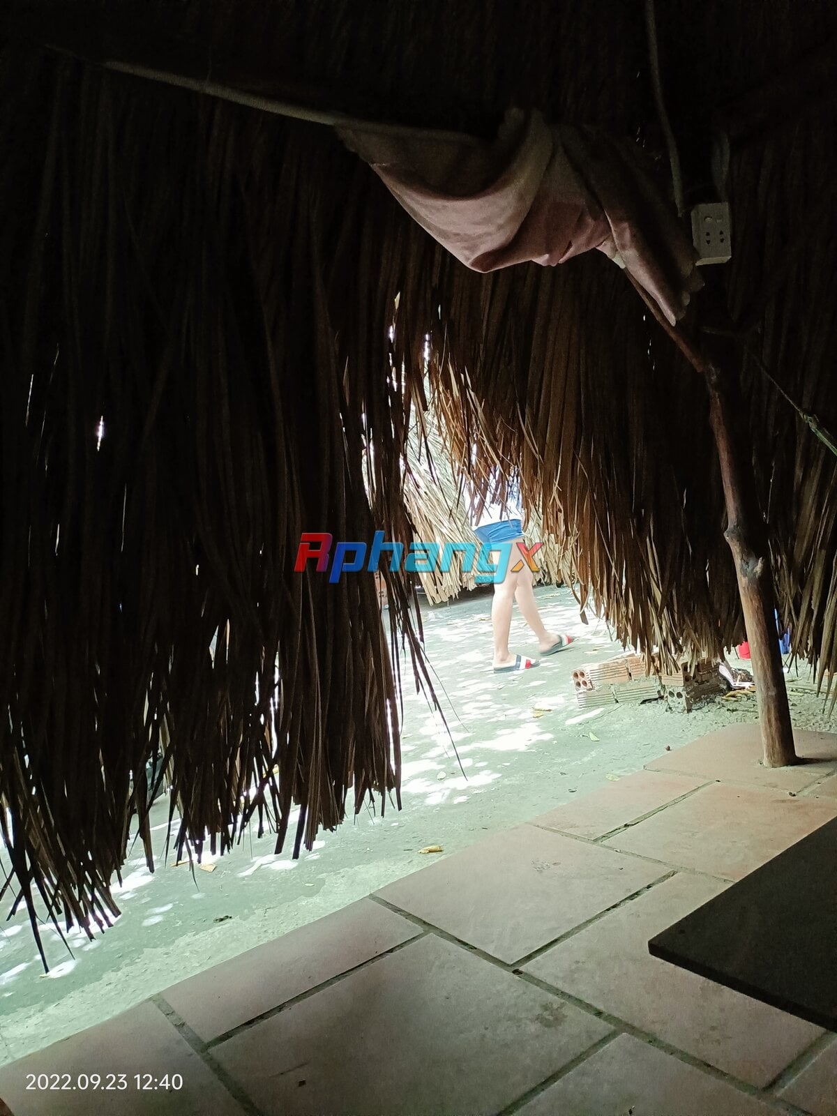IMG20220923124023.jpg
