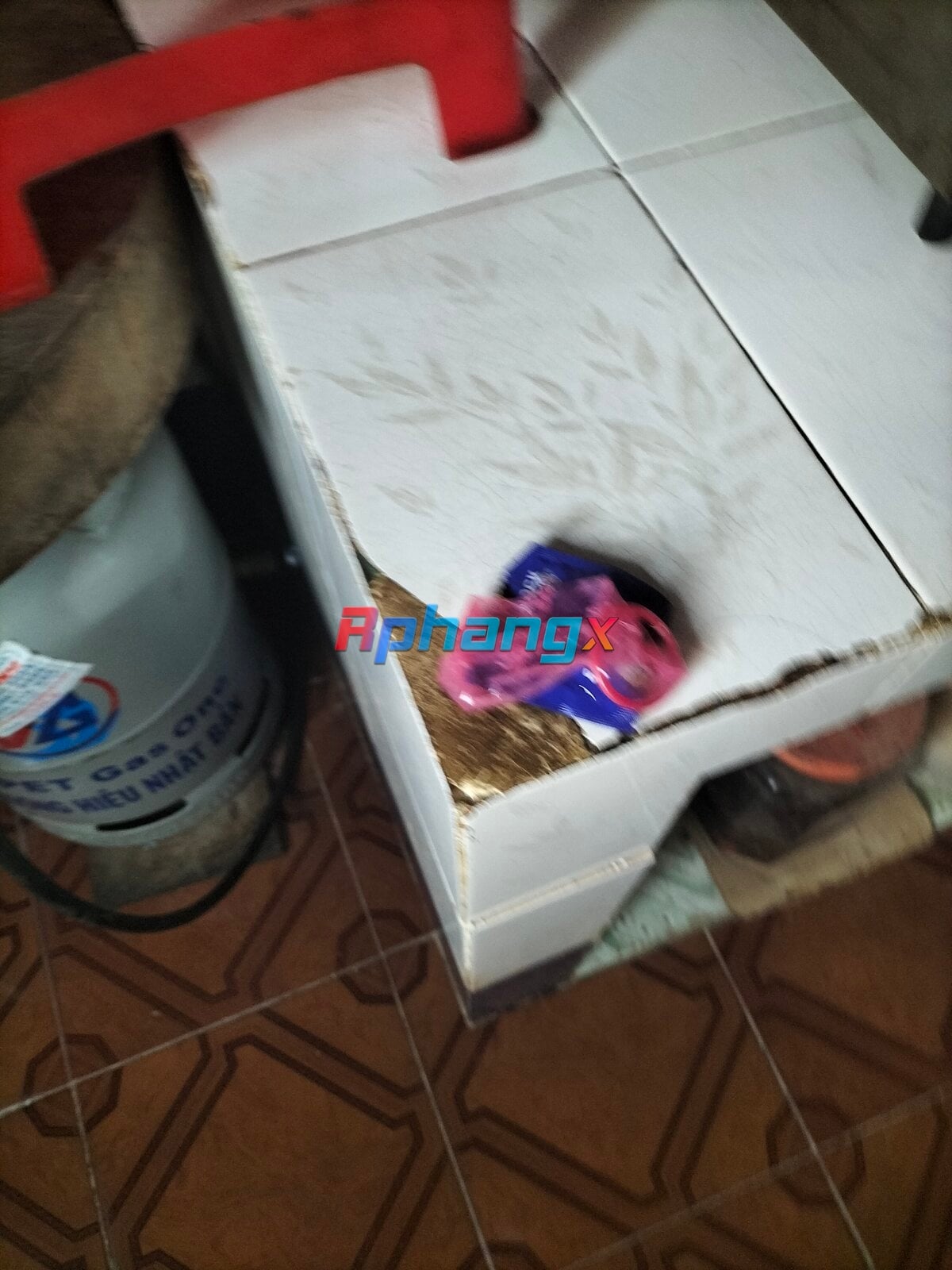 IMG20221023133932.jpg