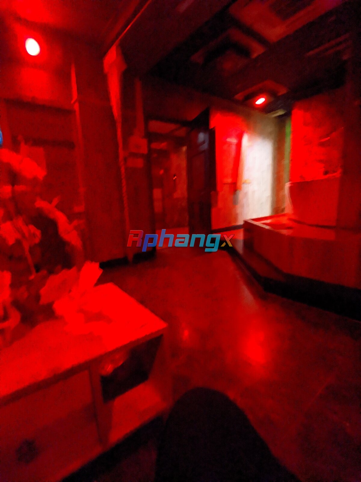 IMG_20221124_210559.jpg