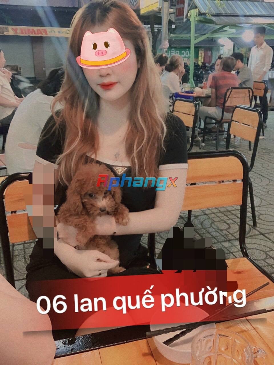 06 lqp.jpg