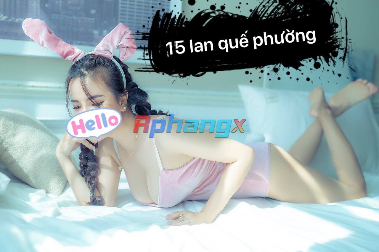 15 lqp 2.jpg