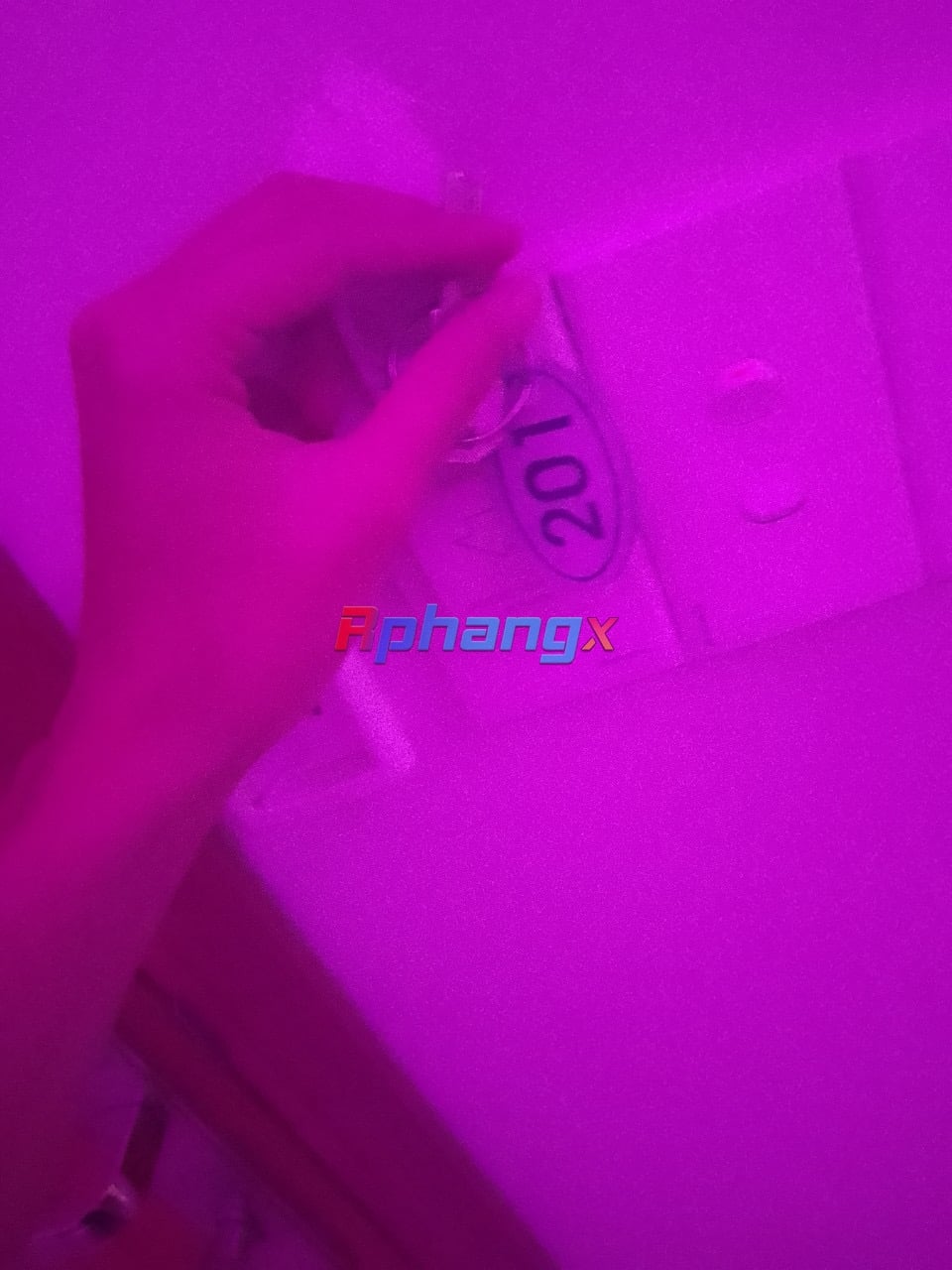 EE72EEE3-685C-4397-83EB-08D7766BE6EE.jpeg