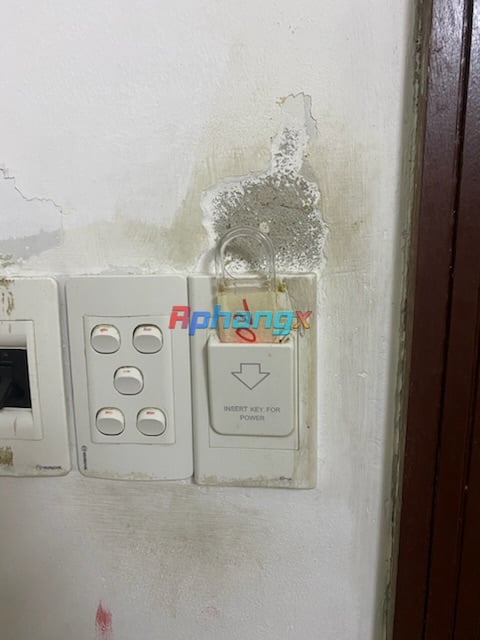 AE8776ED-0921-4534-AB95-1517A294CD9E.jpeg